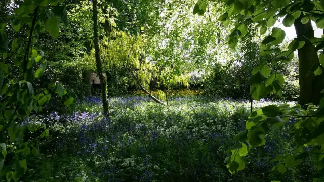 Calthwaite Hall photo 6