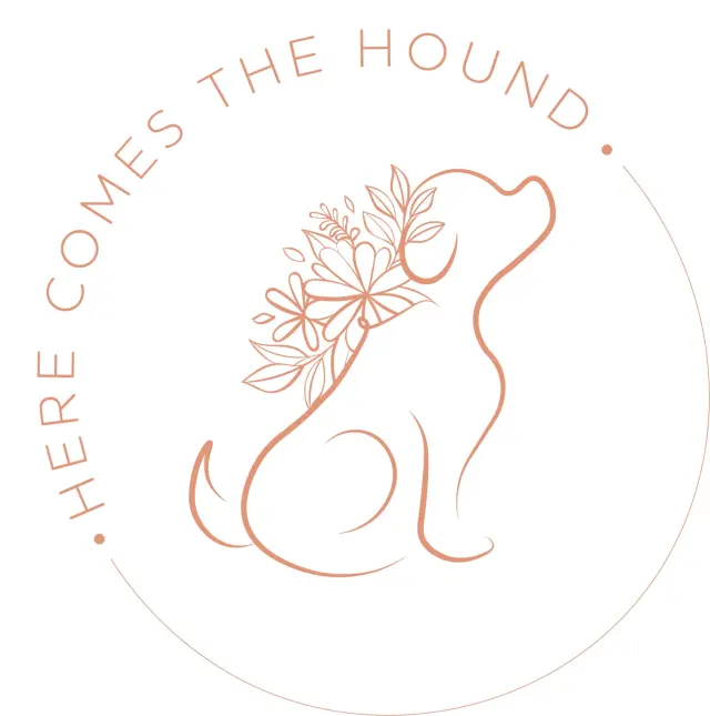 Here Comes the Hound