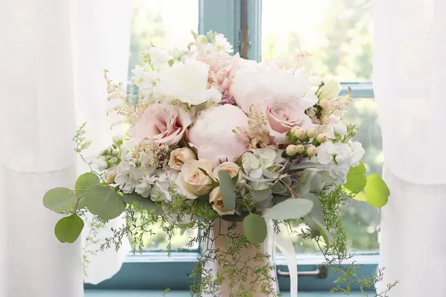 Flowers & Plants Co. photo 11