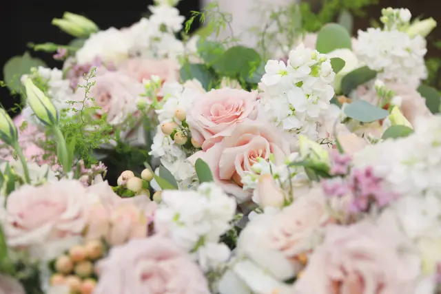 Flowers & Plants Co. photo 2