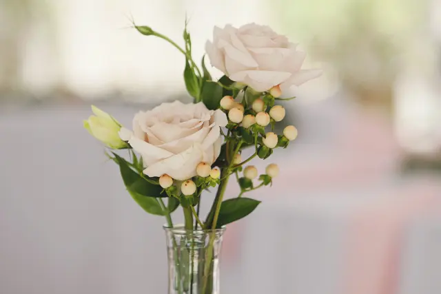 Flowers & Plants Co. photo 20