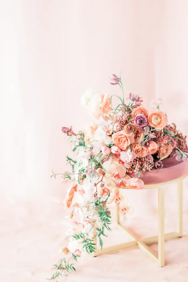 Flowers & Plants Co. photo 6
