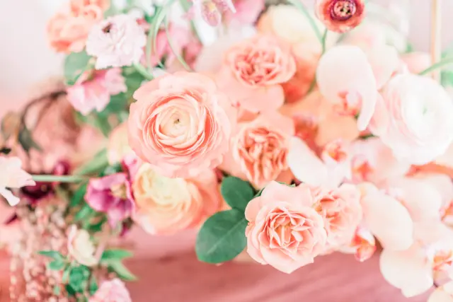 Flowers & Plants Co.