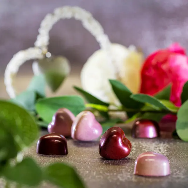 Fusion Chocolate photo 2