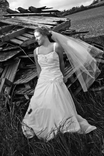 Tim Martin Photography photo 6