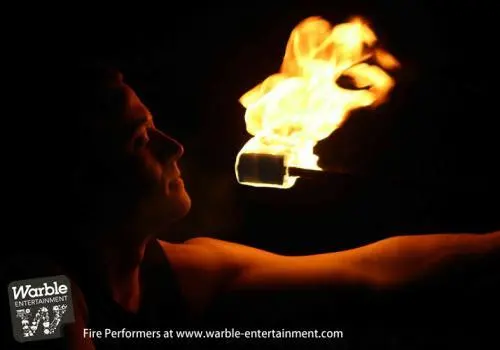 Warble Wedding Entertainment Agency photo 2